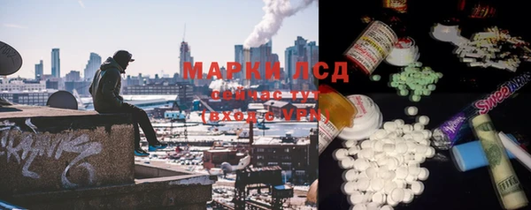 трава Беломорск