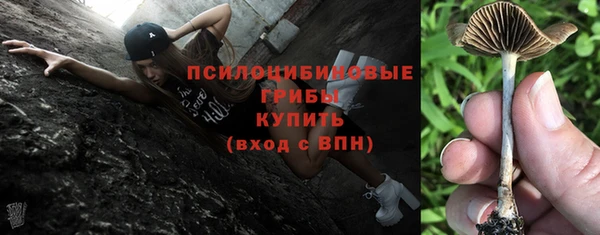 дживик Белоозёрский