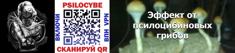 Псилоцибиновые грибы Cubensis  ссылка на мегу ССЫЛКА  Западная Двина 