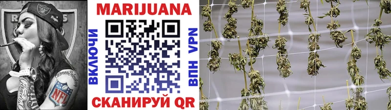 Конопля конопля Западная Двина